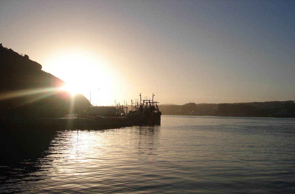 St. John's harbour