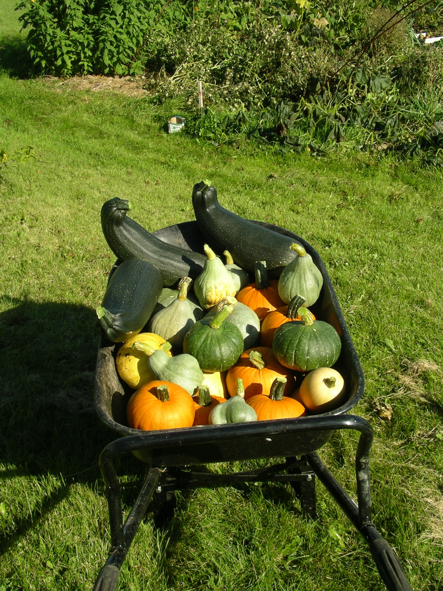 StÃ©phane's vegetables