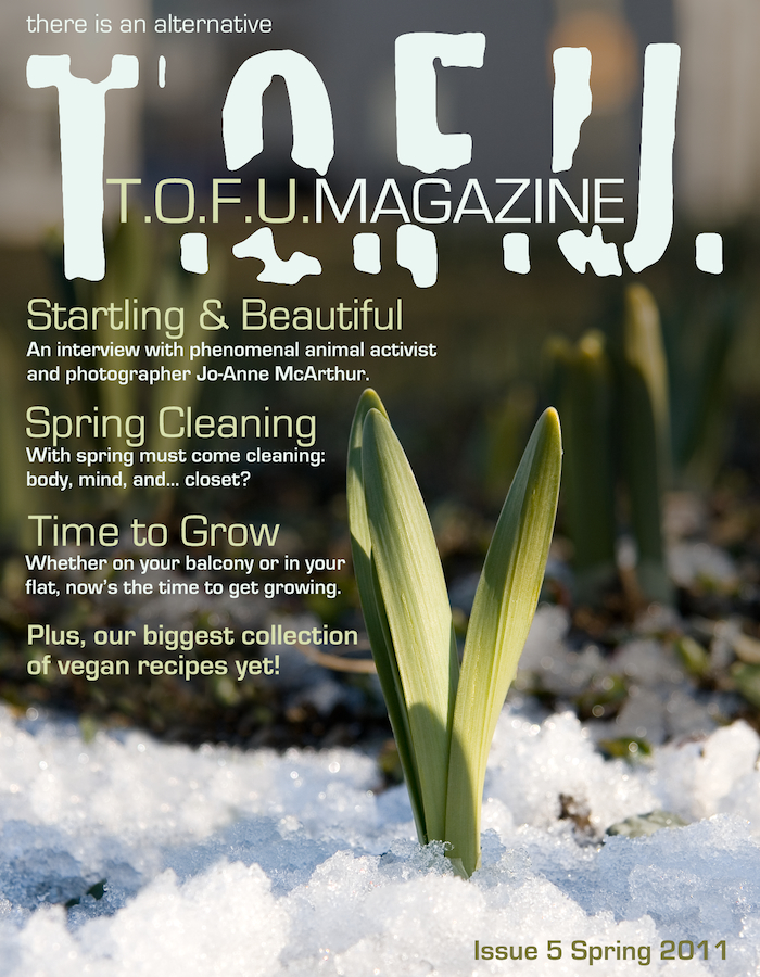 tofu 05 front cover