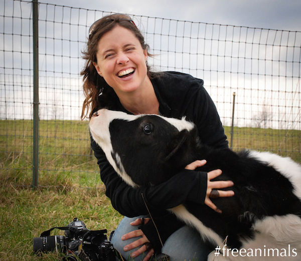 Jo-Anne McArthur laughs while playing with Orlando the cow.