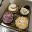 Four vegan cupcakes in a box from Sweets from the Earth