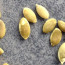Picture of sunflower seeds