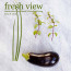 Cover of Issue 8 of Fresh View Magazine