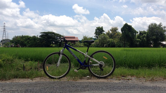 Cover for Biking in Chiang Mai