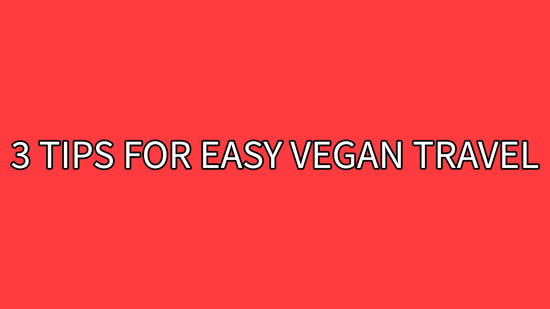 Cover for 3 Tips For Easy Vegan Travel