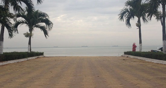 Photo of a walkway leading to the ocean with palm trees on both sides.