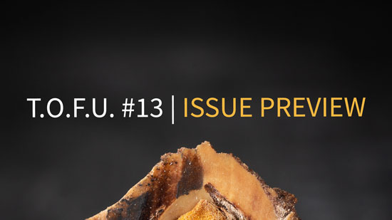 Image contains a dark background with a peach pt in the middle. The pit has been cut open to show the light brown seed. Above the pit, there is text that says "T.O.F.U. #13" in white and "Issue Preview" in light brown.