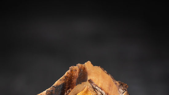 Image contains a dark background with a peach pt in the middle. The pit has been cut open to show the light brown seed.