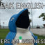 Image contains a blue metal penguin with a white belly and an open mouth. Behind the penguin, there is grass, palm trees, and the ocean in the distance. In the foreground, there is white text that says "Speak English!!!" on the top, and white text that says "Where Am I Wednesday" on the bottom.