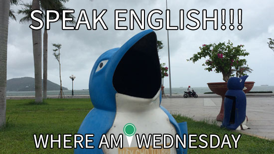 Image contains a blue metal penguin with a white belly and an open mouth. Behind the penguin, there is grass, palm trees, and the ocean in the distance. In the foreground, there is white text that says "Speak English!!!" on the top, and white text that says "Where Am I Wednesday" on the bottom.