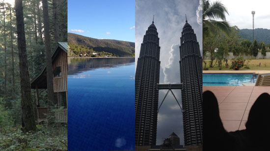 Image contains a series of four vertical panels with a picture of a grey cabin in a forest of large green trees, a picture of a swimming pool overlooking a green hill in the distance, the Petronas Towers in Kuala Lumpur, and a photo taken from behind the ears of a small black dog looking at a pool and large yard in the background.