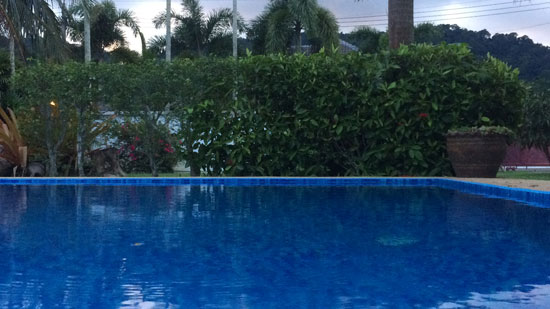 Image contains a photo of a pool with green bushes and palm trees in the background.