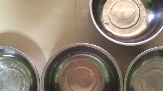 Image contains four silver dog bowls from a birds-eye view. The bowls are on an off-white countertop.