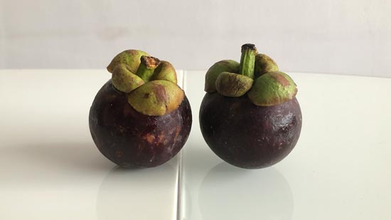 Image contains a photo of two small purple fruit with green stems (mangosteens) on a white table with a white background.